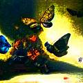 Abstract Butterflies in Motion